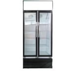 upright double 2 doors chiller